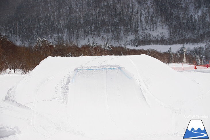 札幌国際スキー場 Welcome back POWDER SNOW !! ～パウダースノー復活～